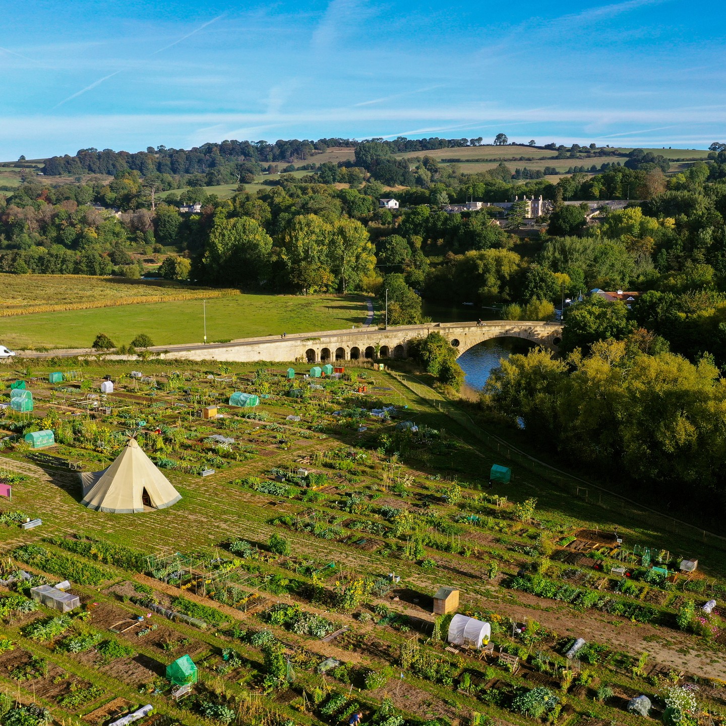 Aerial view of Roots allotment site