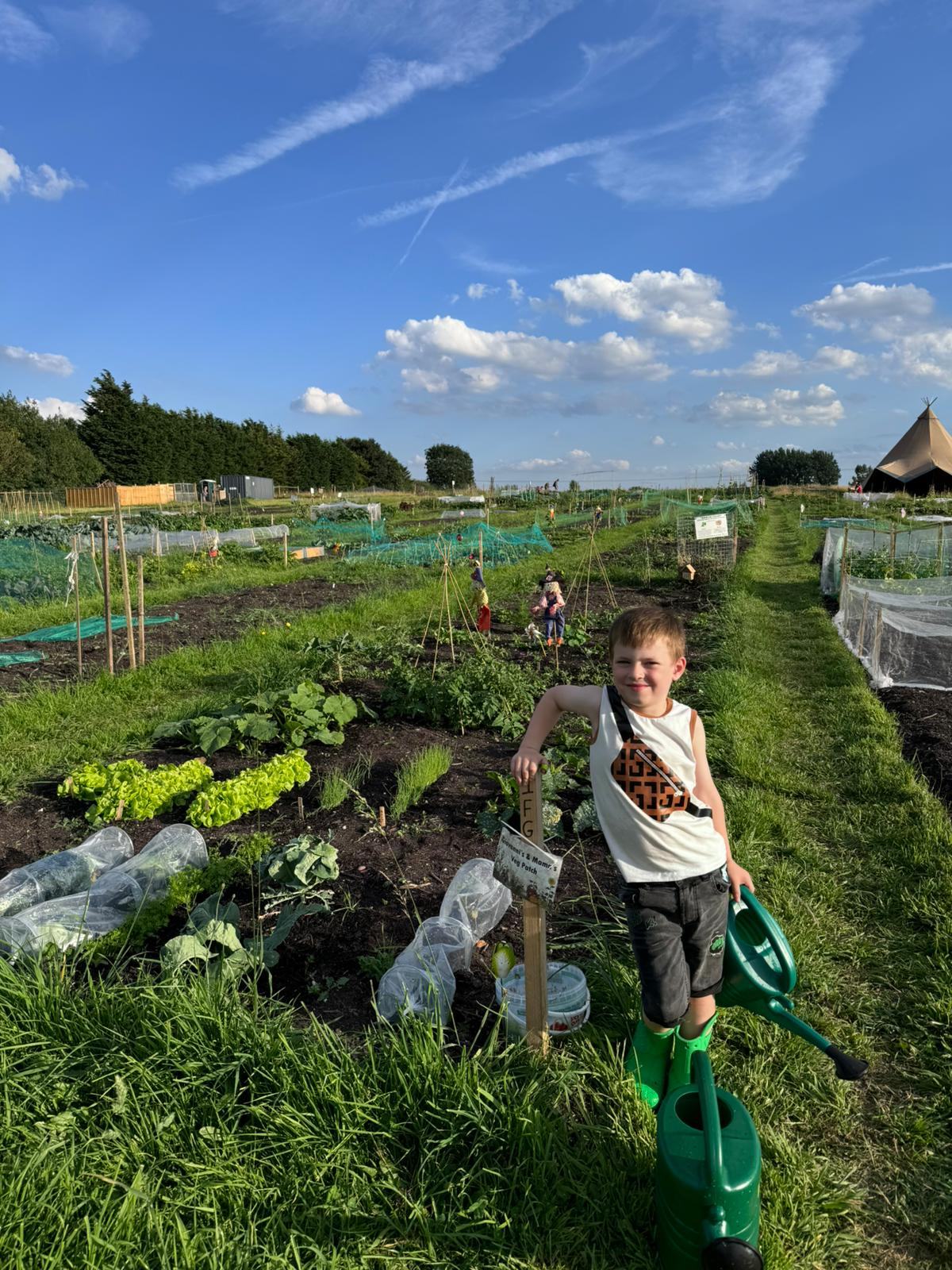 Daffodil Views allotment site