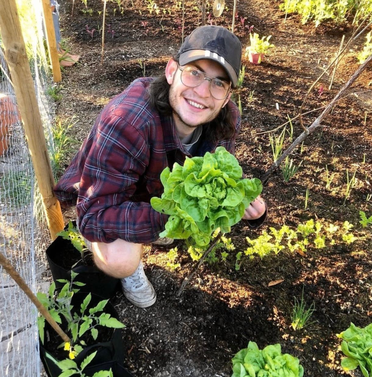 Oxney Views allotment site