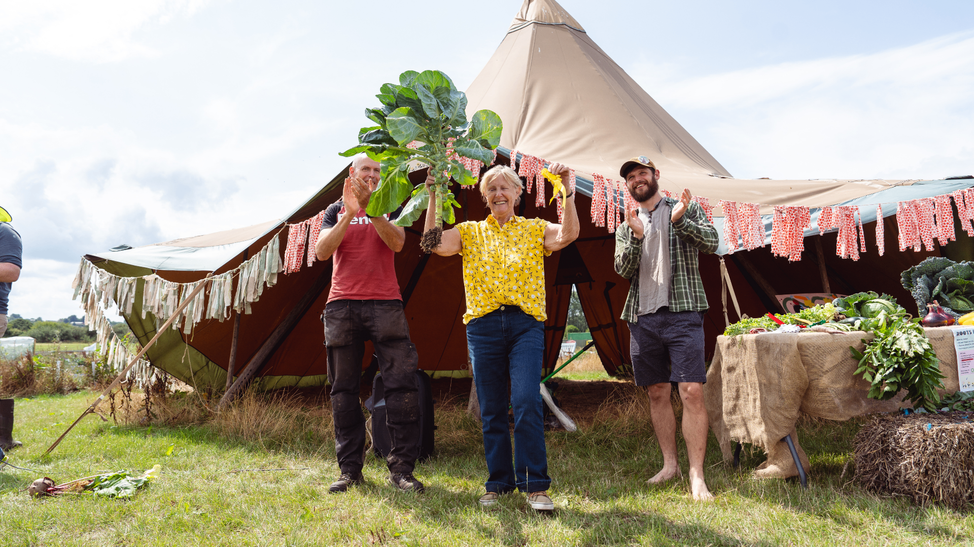 Tuckers Meadow allotment site