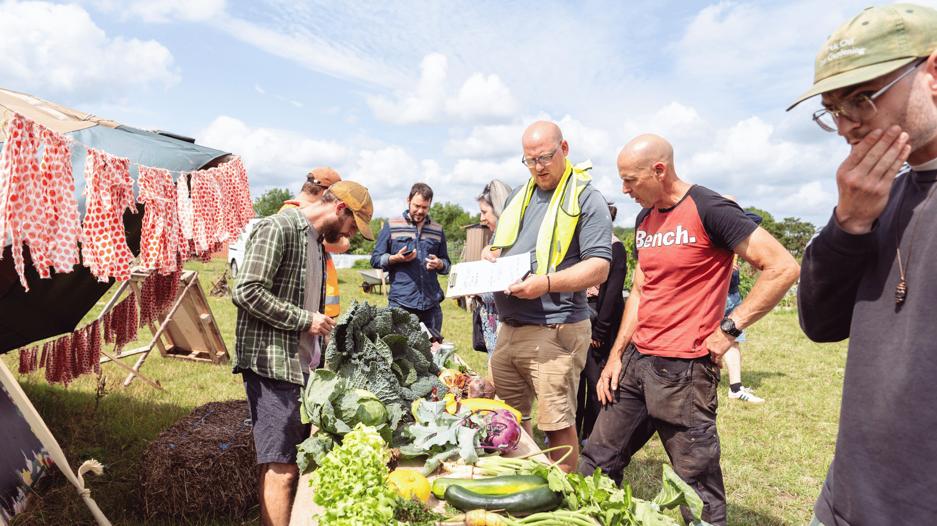 Leigh Woods Meadows allotment site
