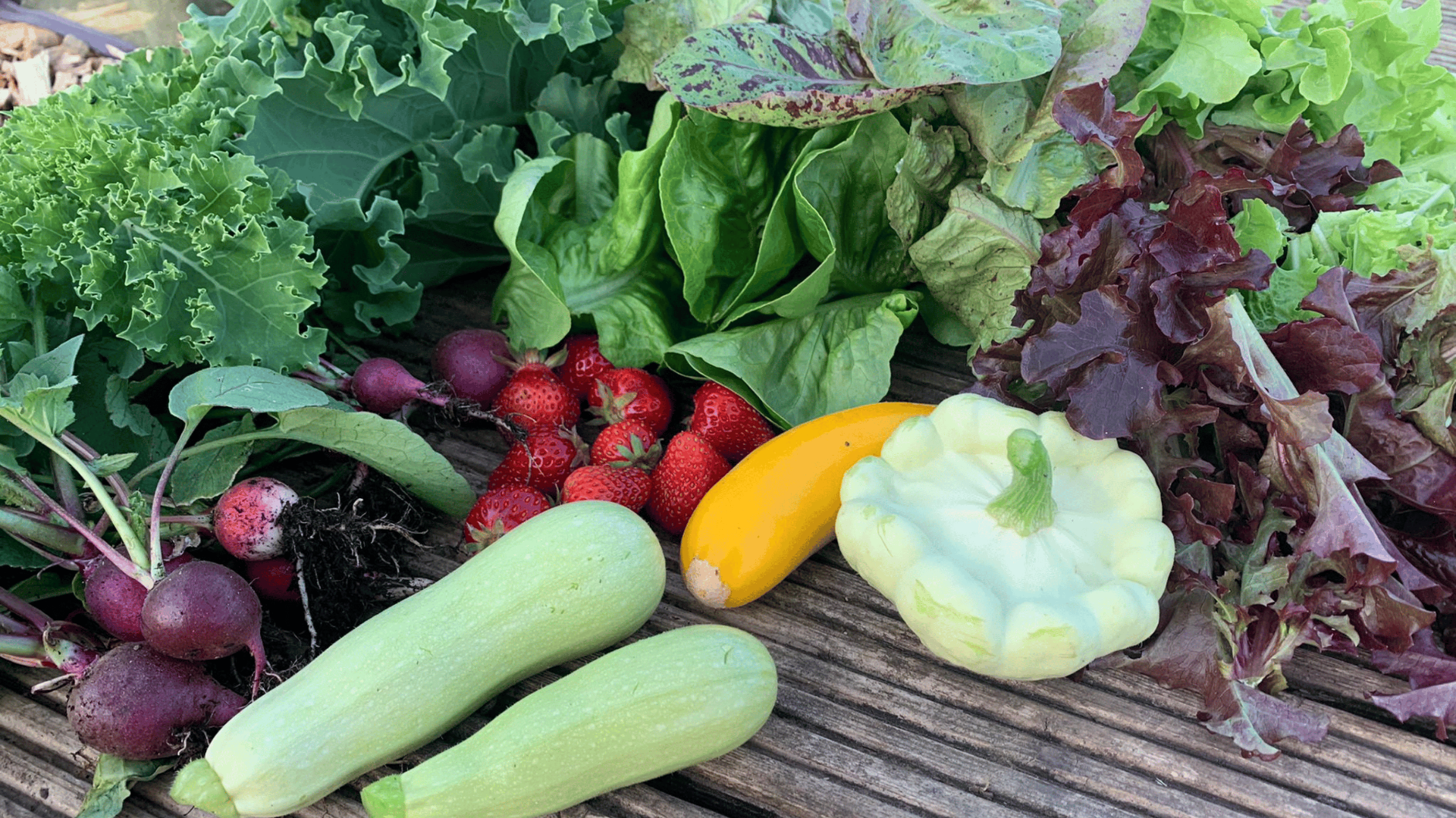 Meadow Hill Fields allotment site
