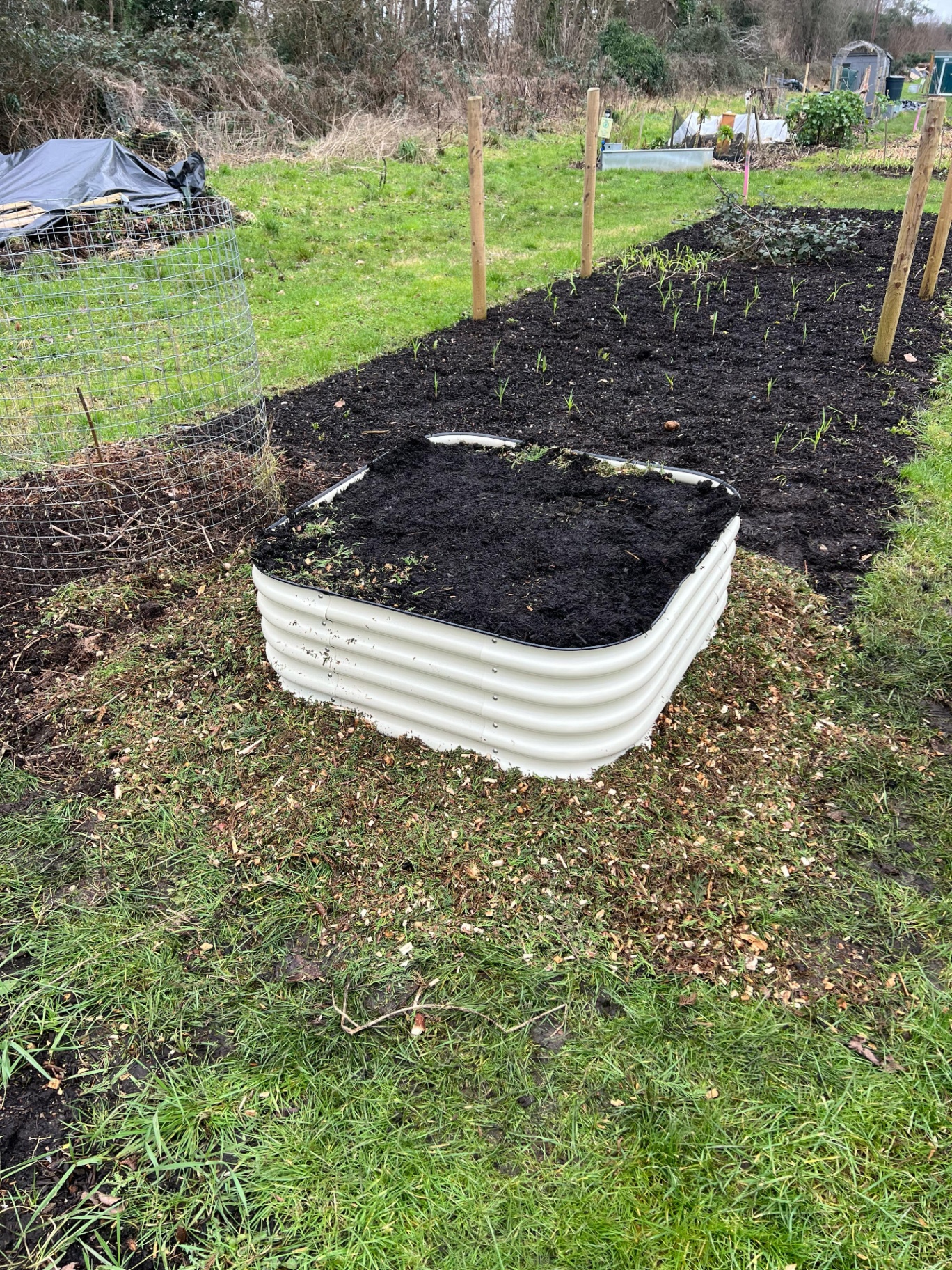 YIMBY raised bed with fresh compost and seedlings