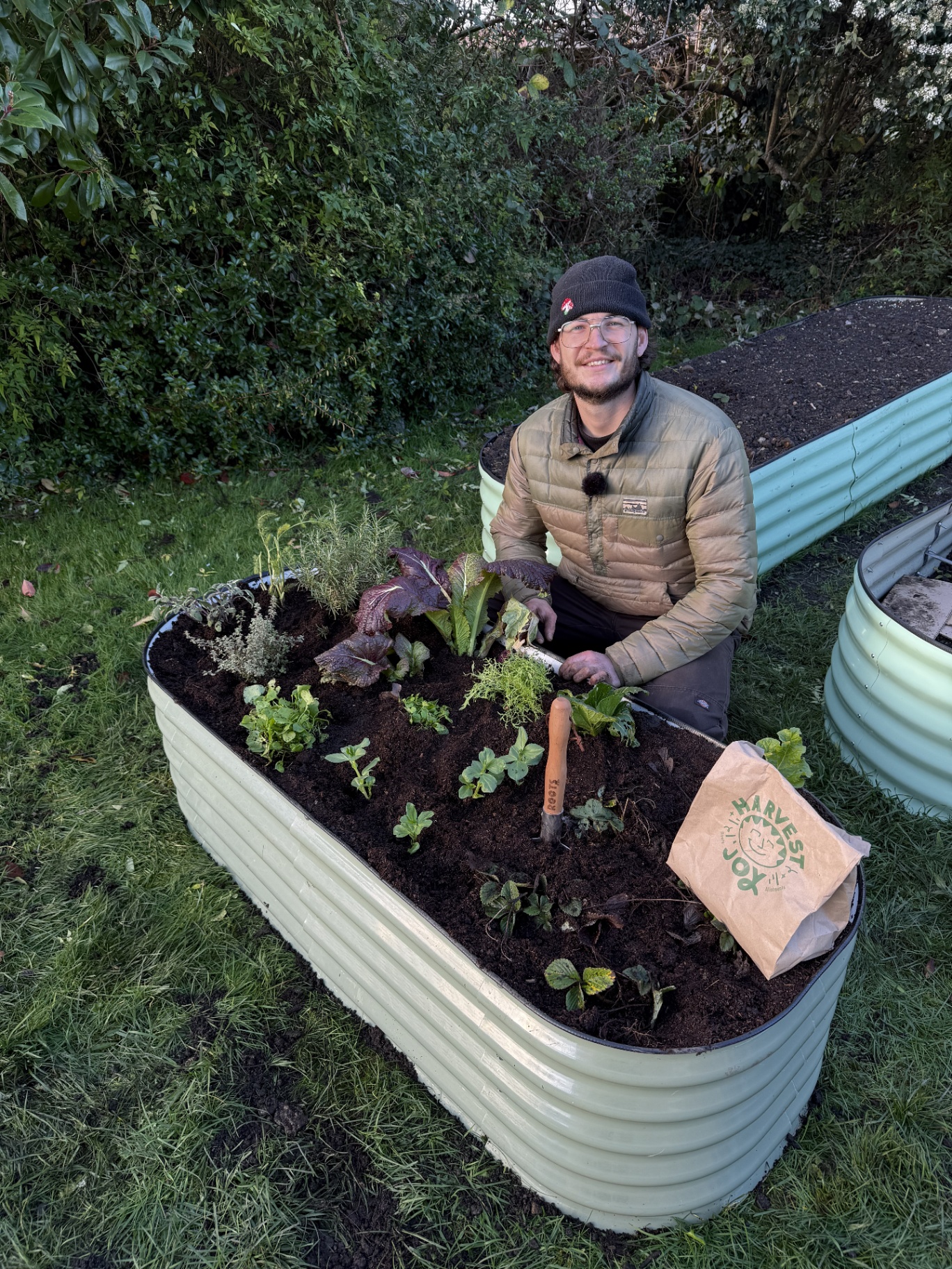 YIMBY raised bed with fresh plantings